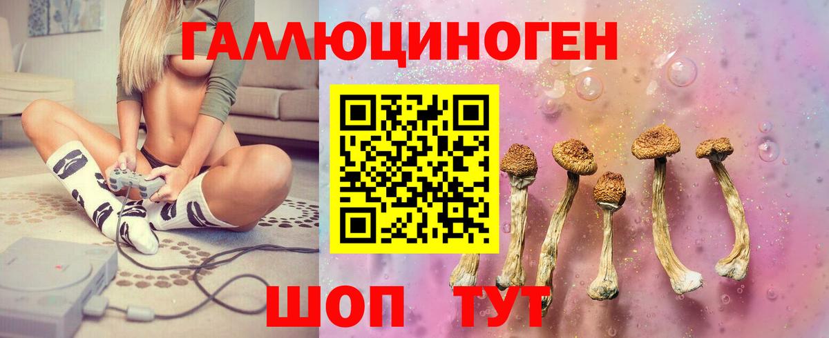 Канаш  где купить наркоту  Вход с VPN  Псилоцибиновые грибы мицелий  Галлюциногенные грибы ЛСД 