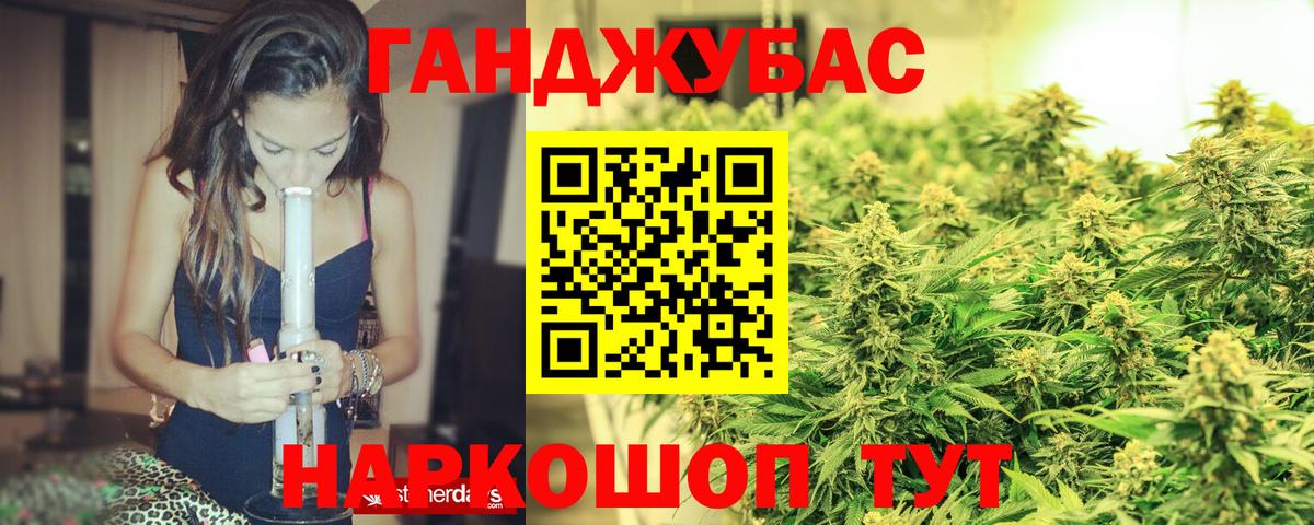 Шишки марихуана марихуана Канаш